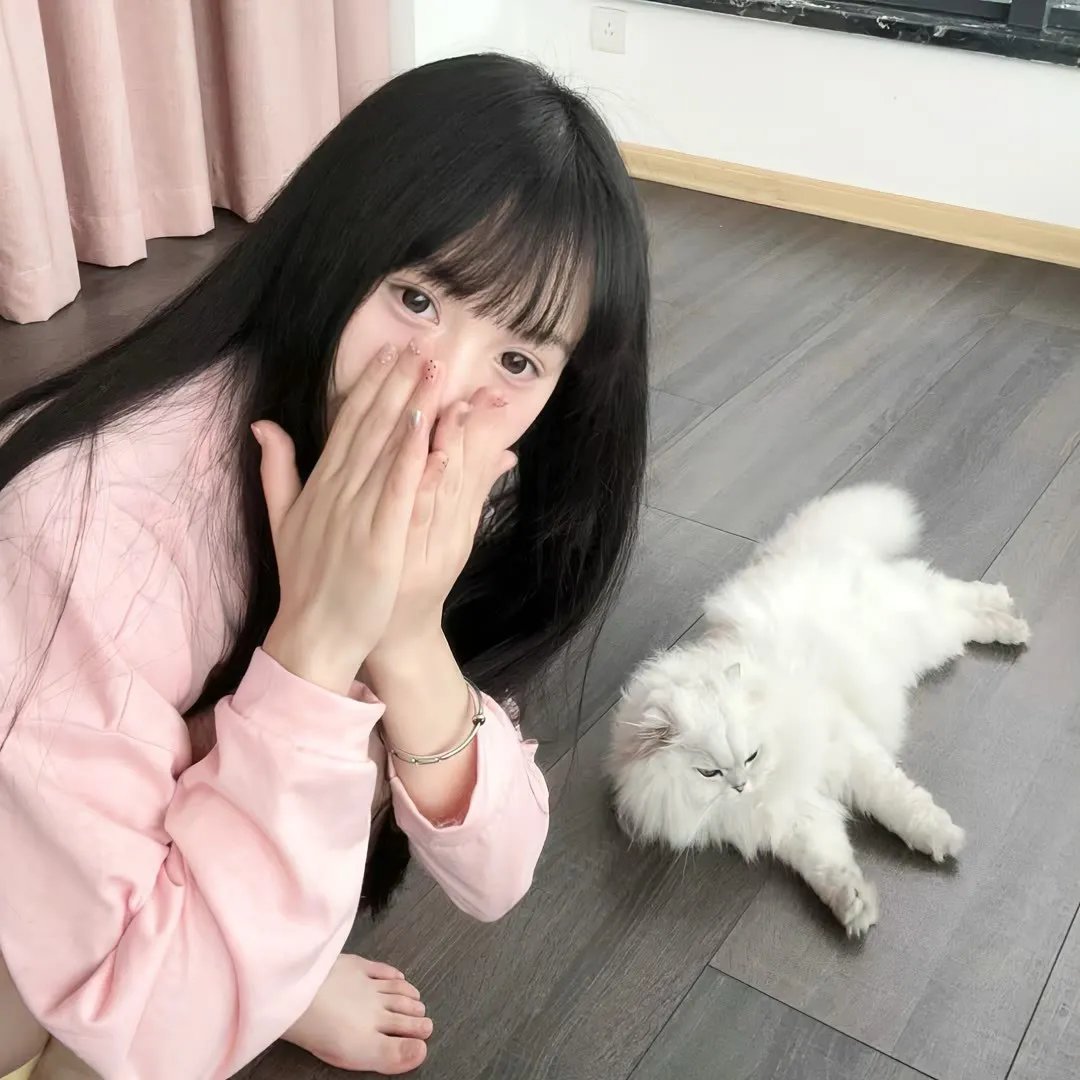 灵驹续集